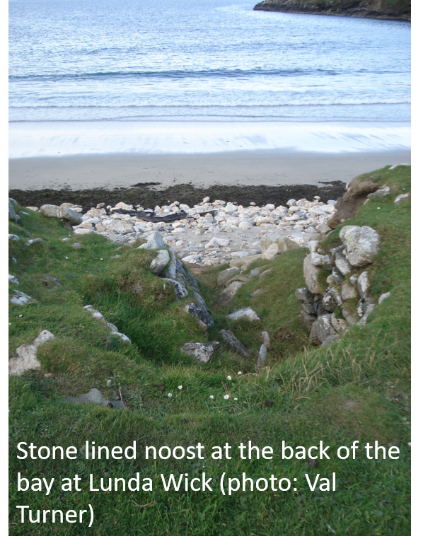 Stone lined noost