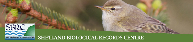 Shetland Biological Records Centre