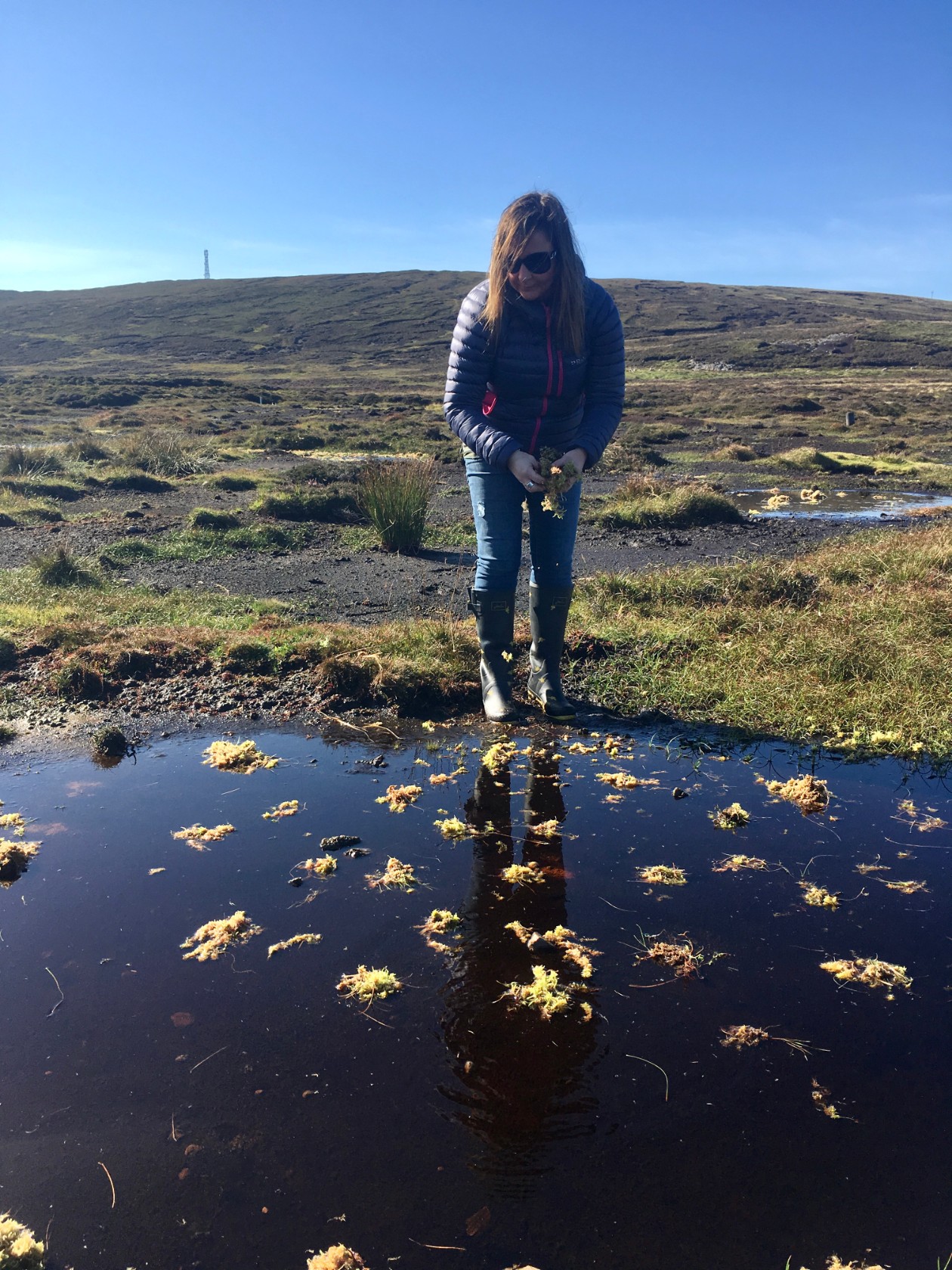 We are hiring - Peatland ACTION Project Officer
