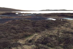 Peatland Restoration at Sandy Loch
