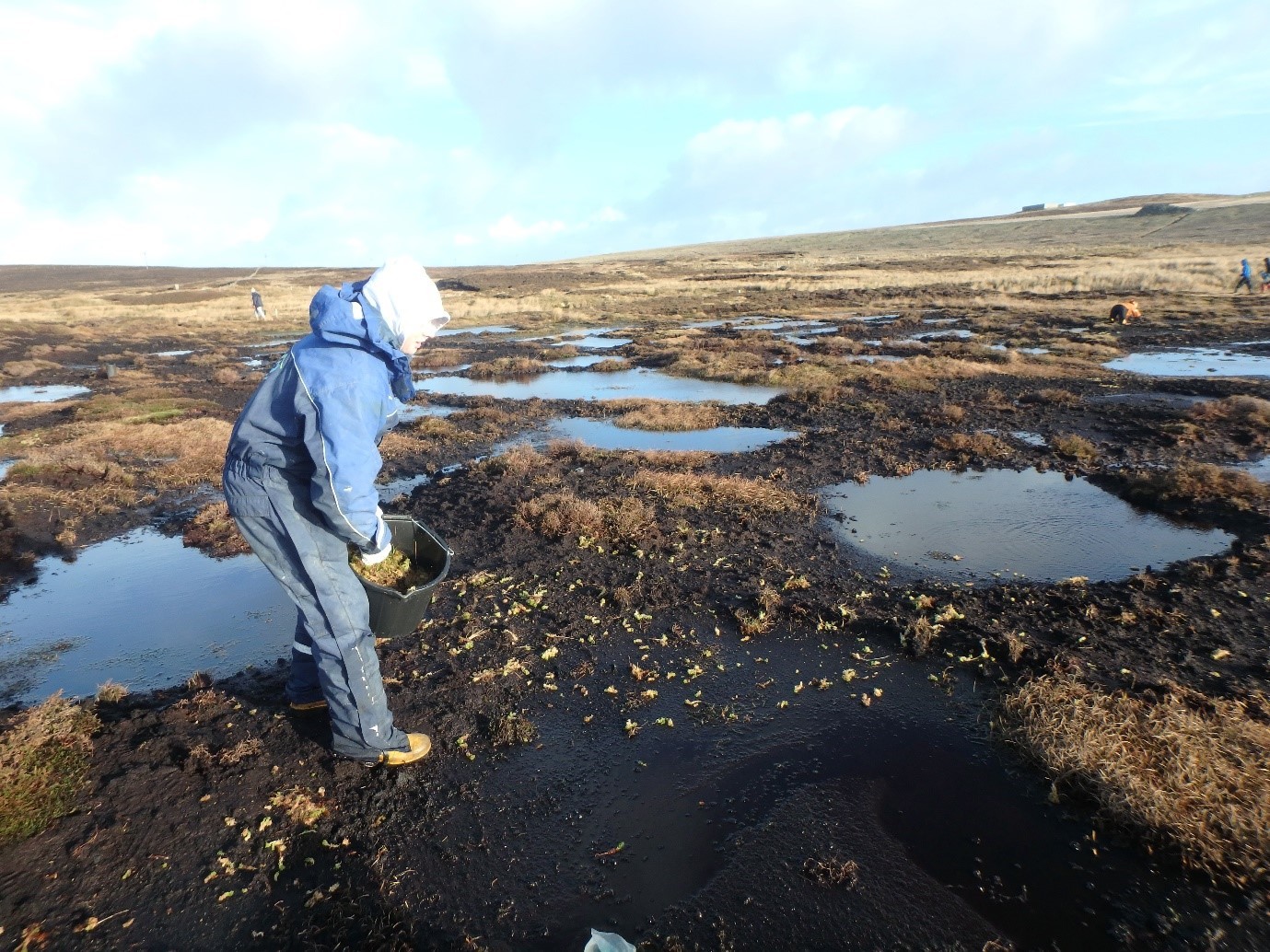 Sandy Loch Peatland Restoration