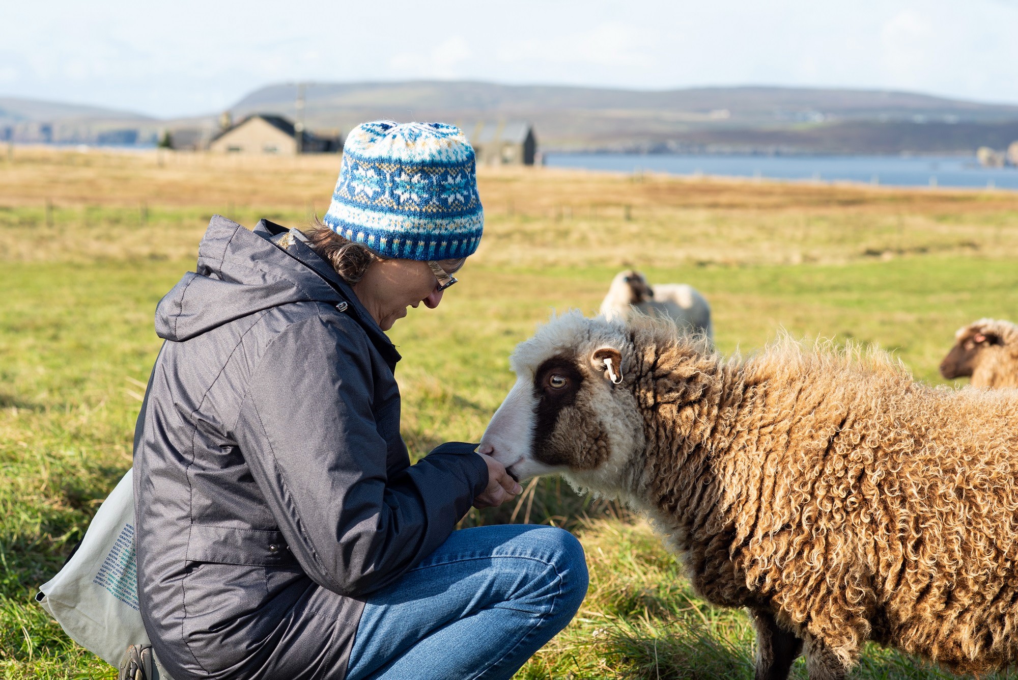 Shetland Wool Week is back for 2022